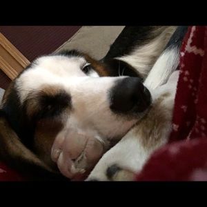 Meet your Posher, Kathy